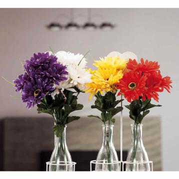 Bouquet gerbere 5 fiori cm36