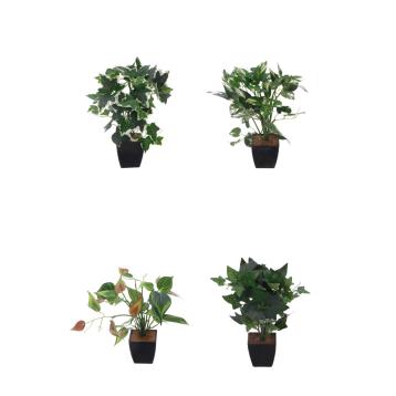 Vaso con pianta per decorazione 22x h.30 cm