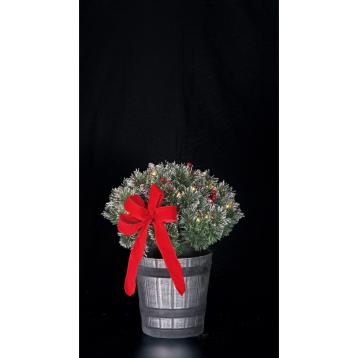Decorazione natalizia in PVC con vaso in plastica, 35 LED e timer (funzionamento a pila 4AA x 1,5V) d30xh60 cm