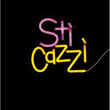 Insegna luminosa neon led modello sti cazzi 22x22 cm