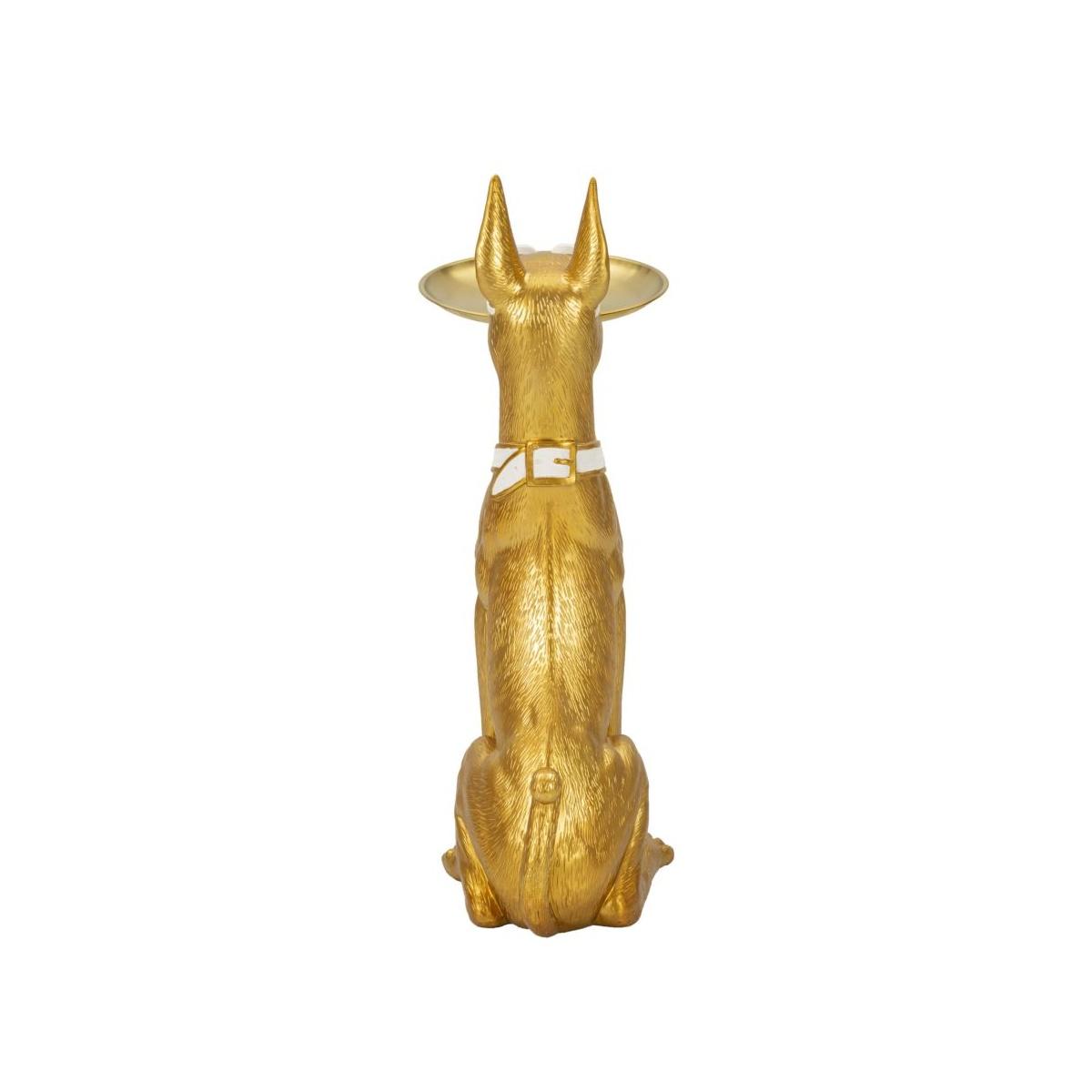 Cane pit s/tasche cm 27x51x74 (vassoio cm Ø 30)