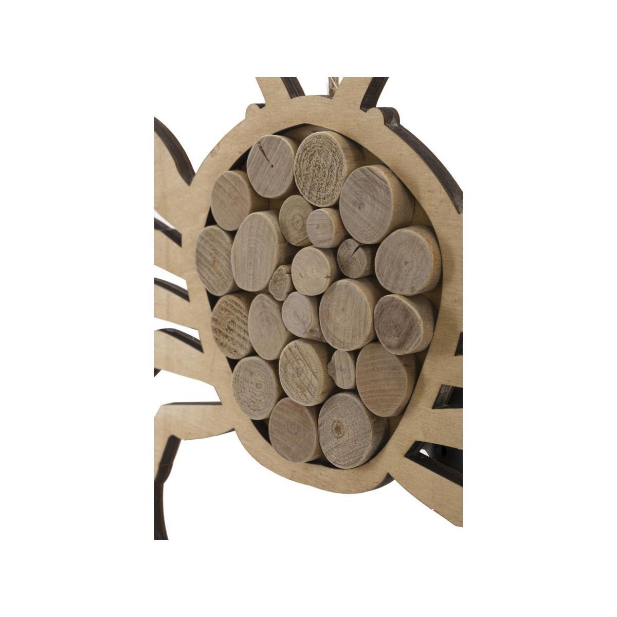 Granchio nature cm 35x2x31 min 2