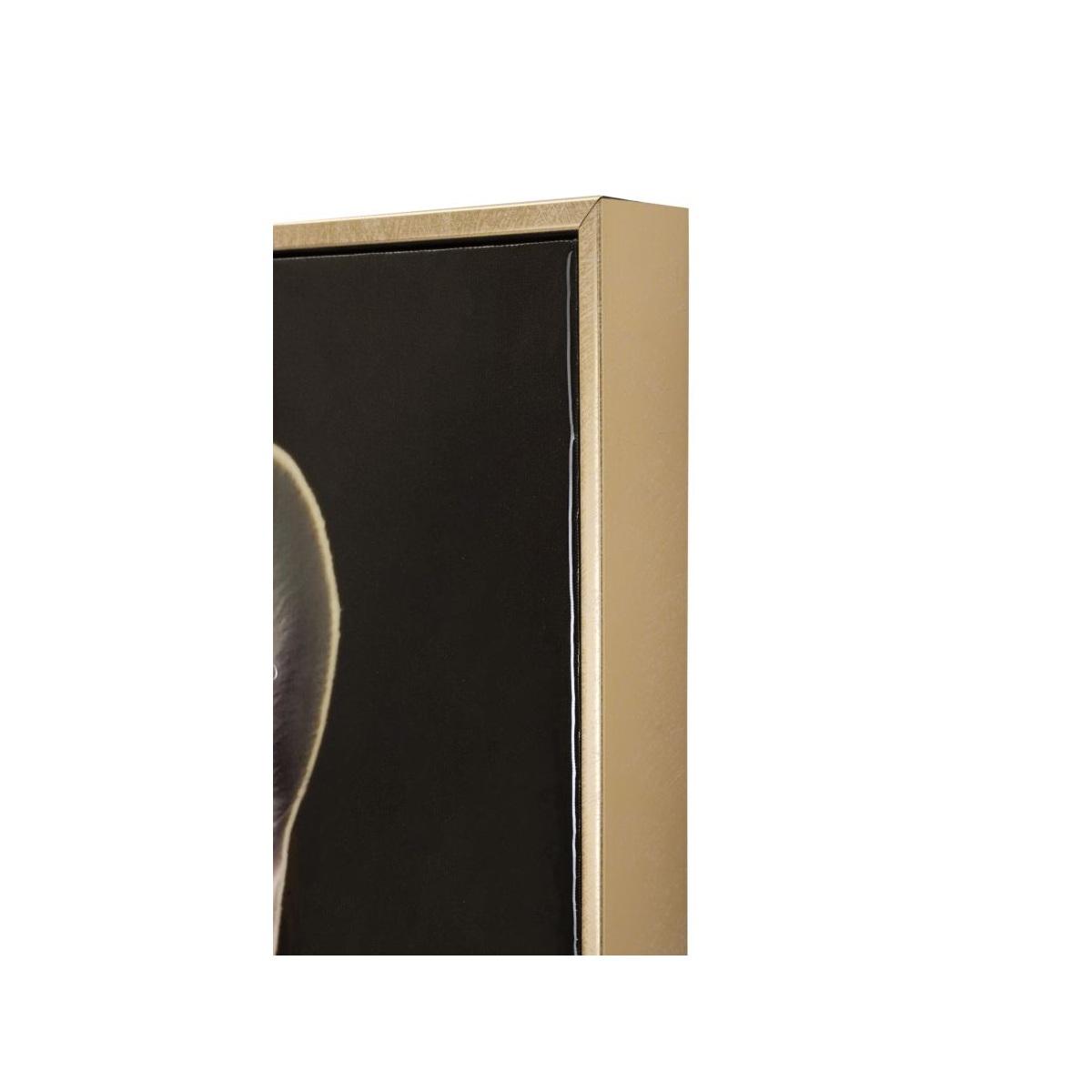 Dipinto su tela laccato bully c/cornice cm 62x4x82