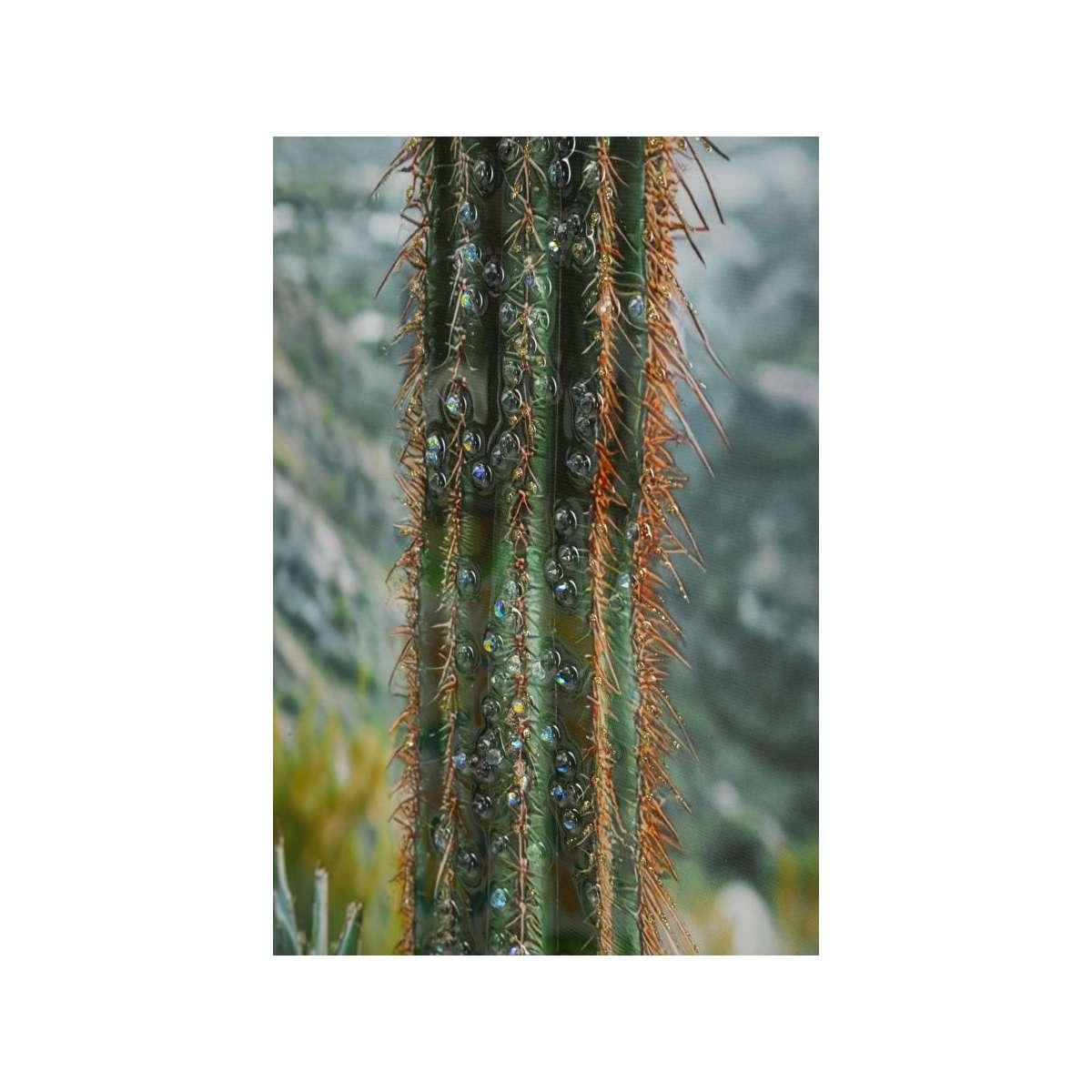Stampa su tela laccata c/cornice cactus -a- cm 60x4x90<br>