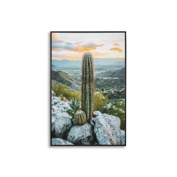 Stampa su tela laccata c/cornice cactus -a- cm 60x4x90<br>