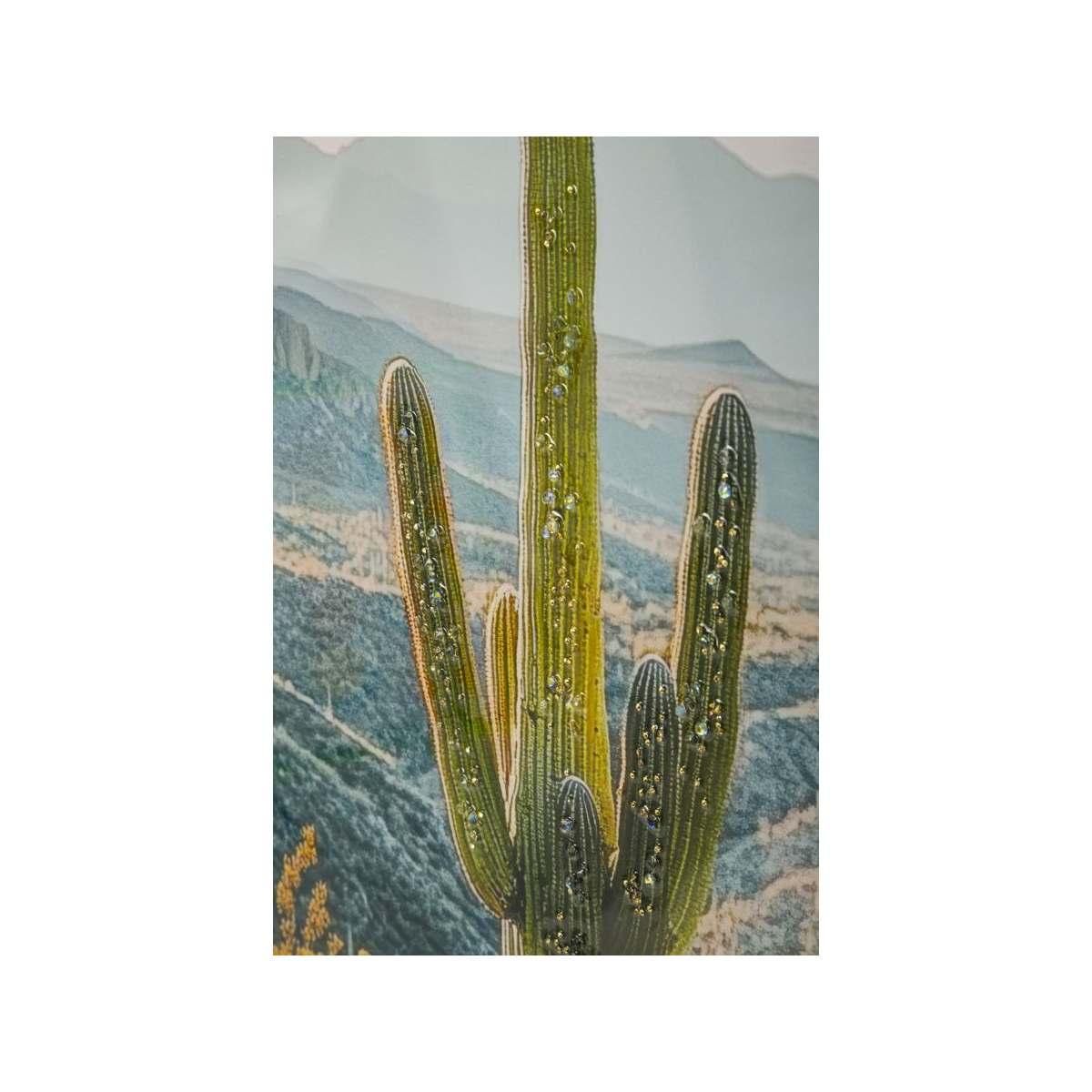 Stampa su tela laccata c/cornice cactus -b- cm 60x4x90<br>