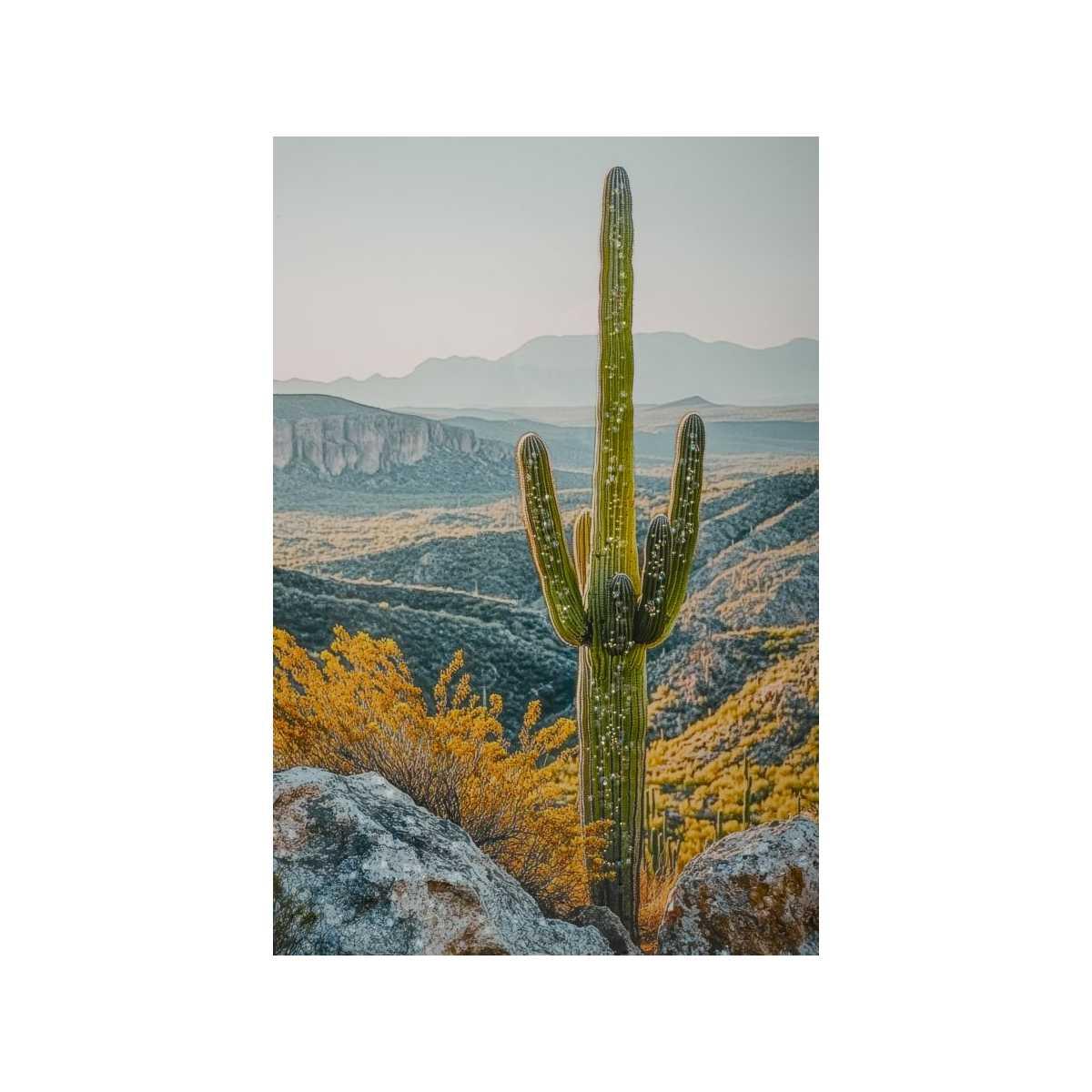 Stampa su tela laccata c/cornice cactus -b- cm 60x4x90<br>