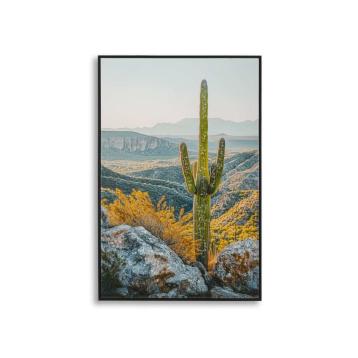 Stampa su tela laccata c/cornice cactus -b- cm 60x4x90<br>