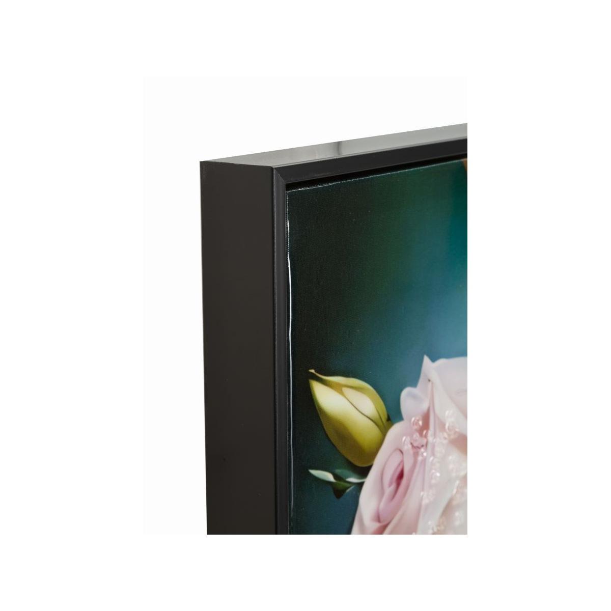 Dipinto su tela laccato fantasy c/cornice -b- cm 72x4x102