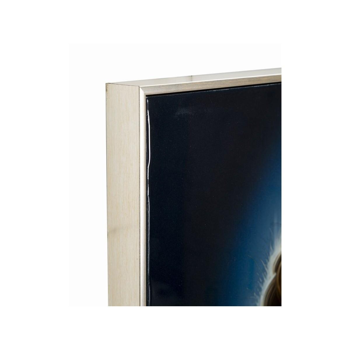 Dipinto su tela laccato isabel c/cornice -a- cm 72x4x102