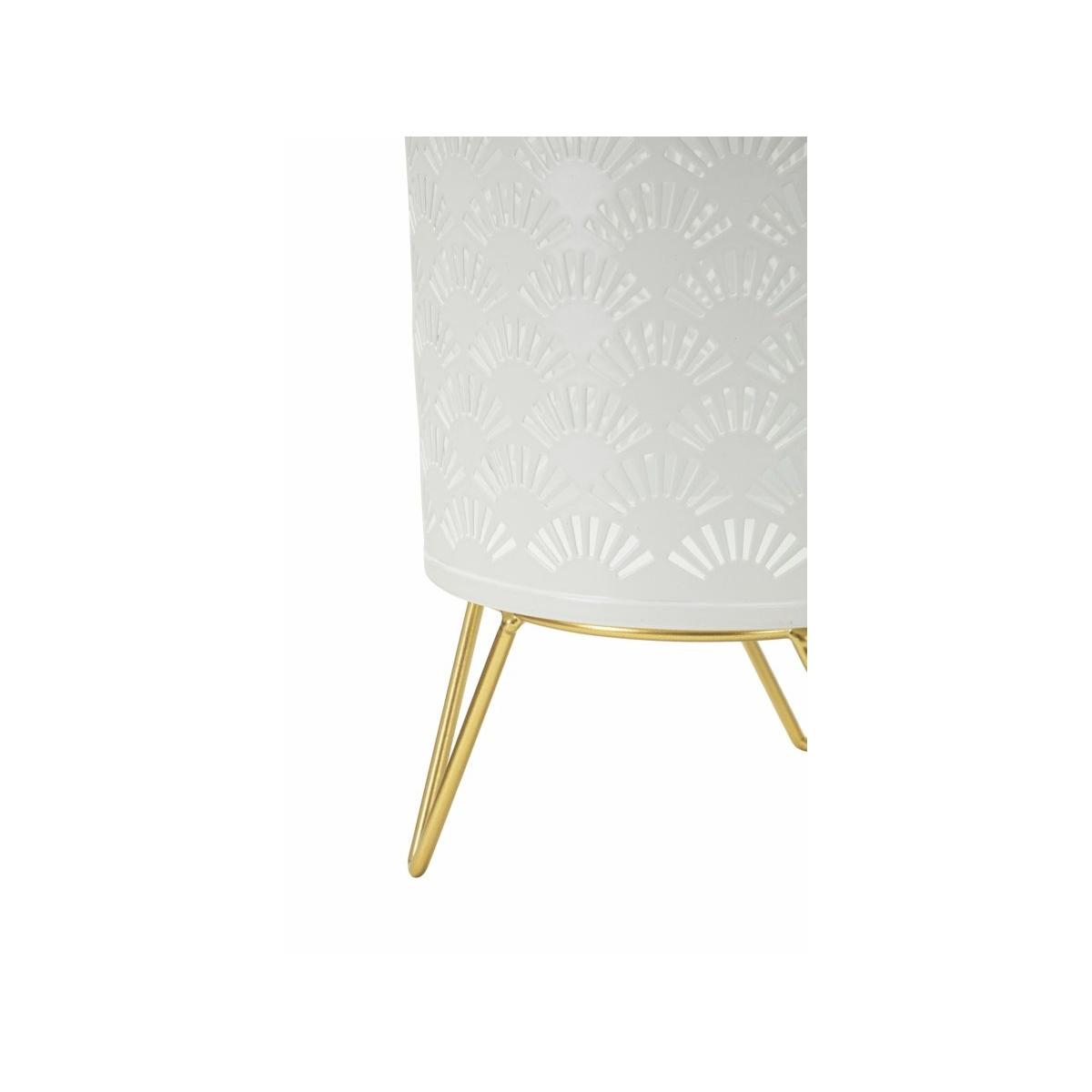 P/vasi carly coppia cm Ø 16x20-13x20 min 2