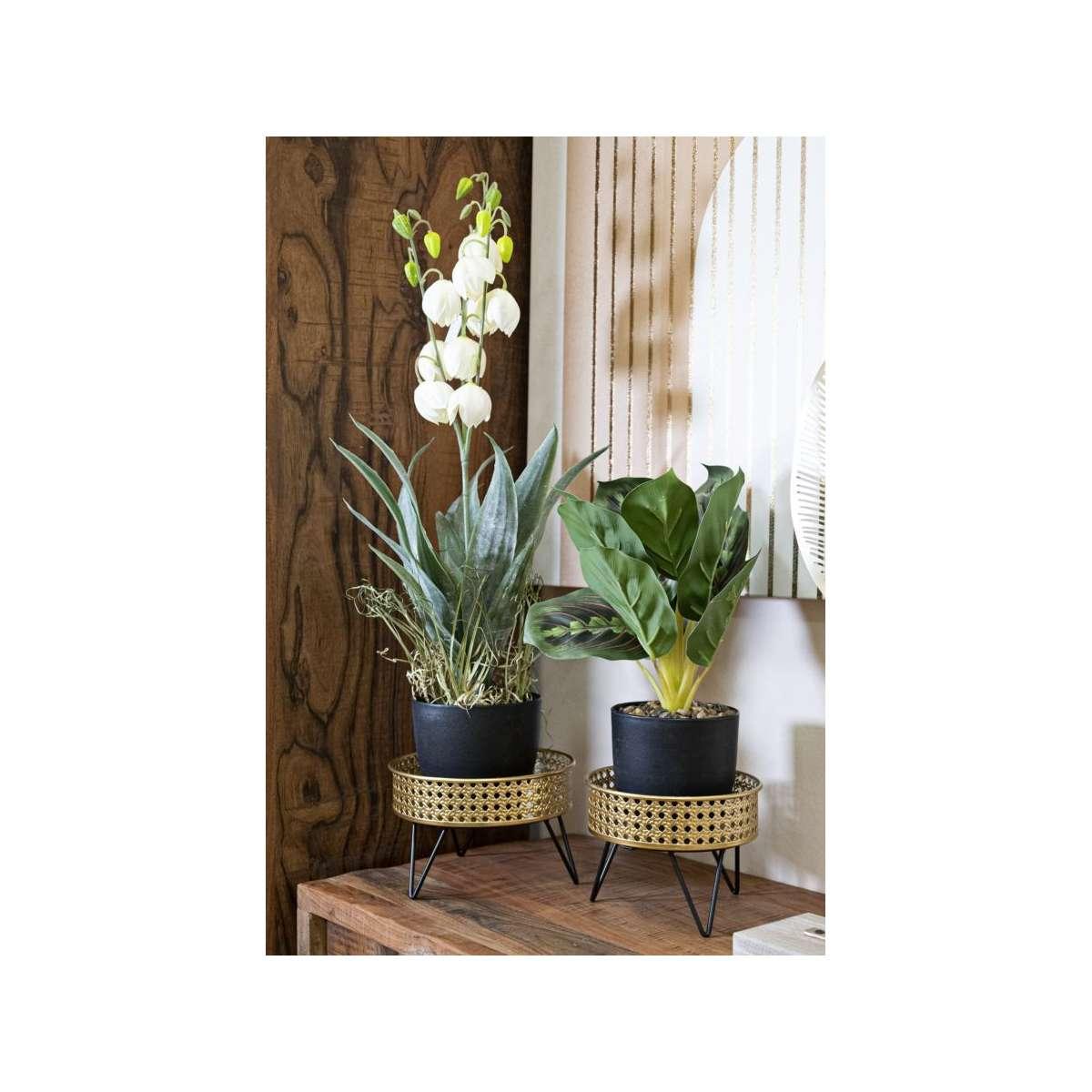 P/vasi bossy coppia cm Ø20,5x13-18x13 min 2