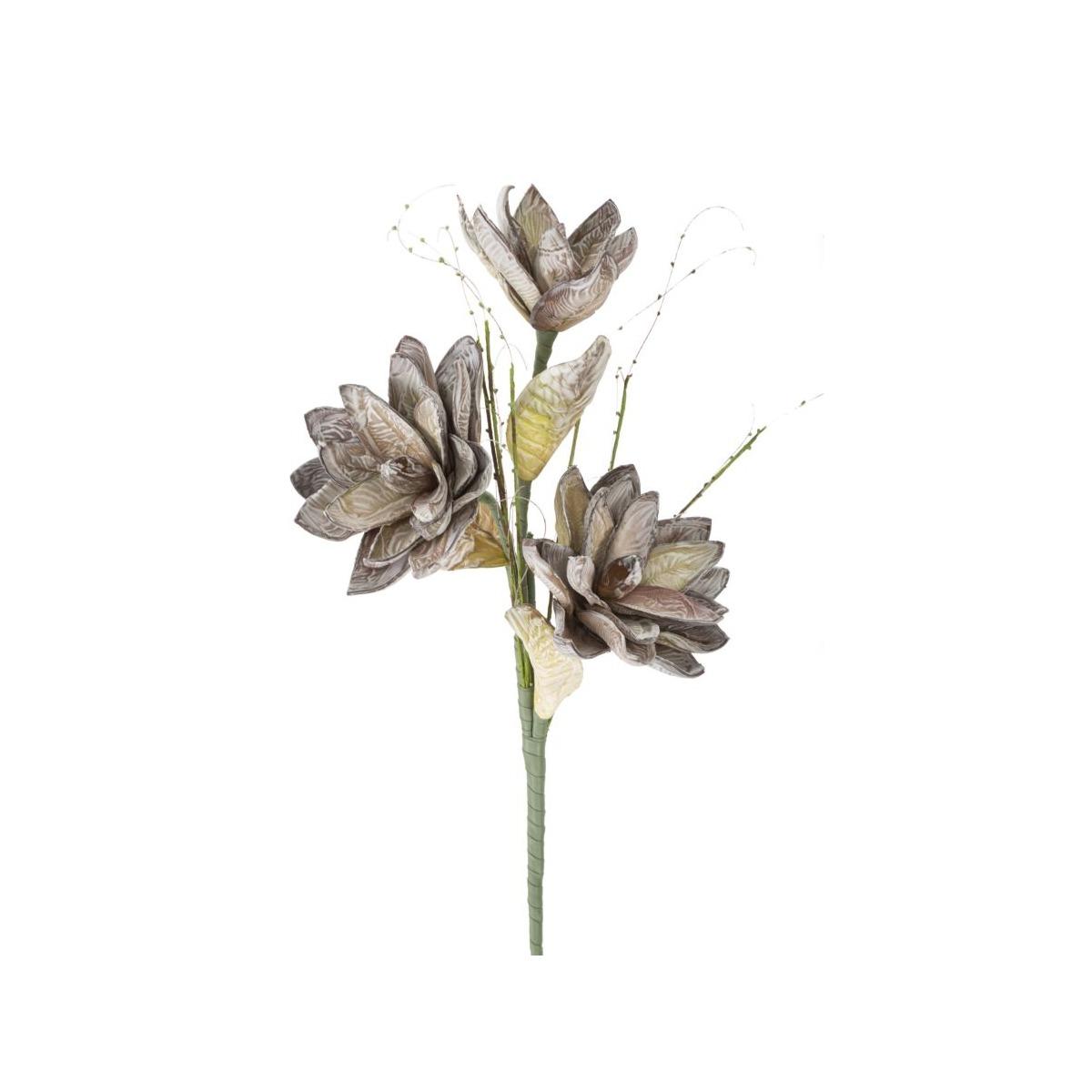 Magnolia x3 verde cm Ø 30x90 min 10