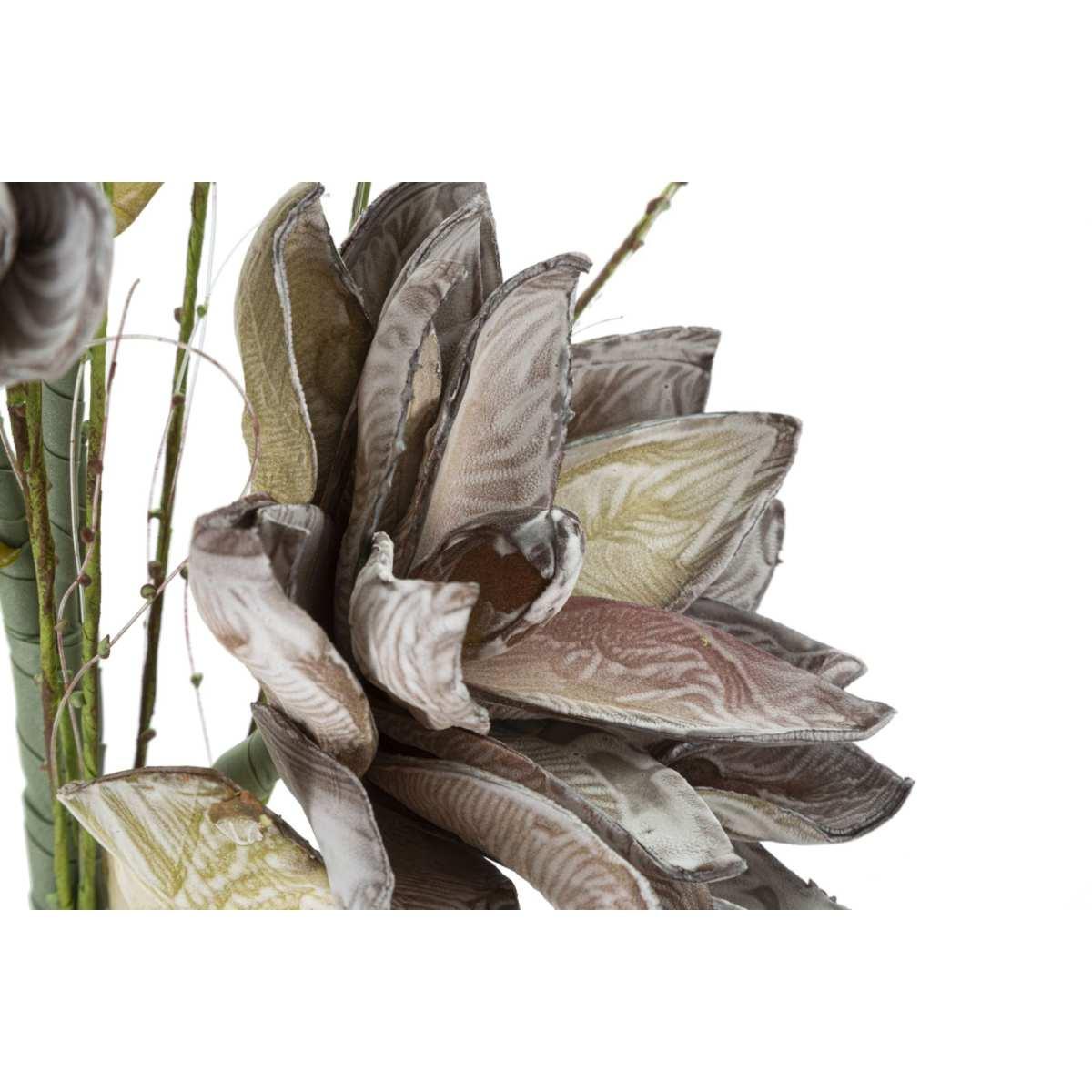 Magnolia x3 verde cm Ø 30x90 min 10