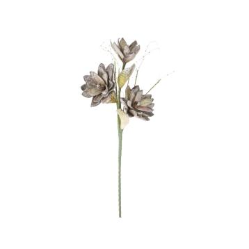 Magnolia x3 verde cm Ø 30x90 min 10