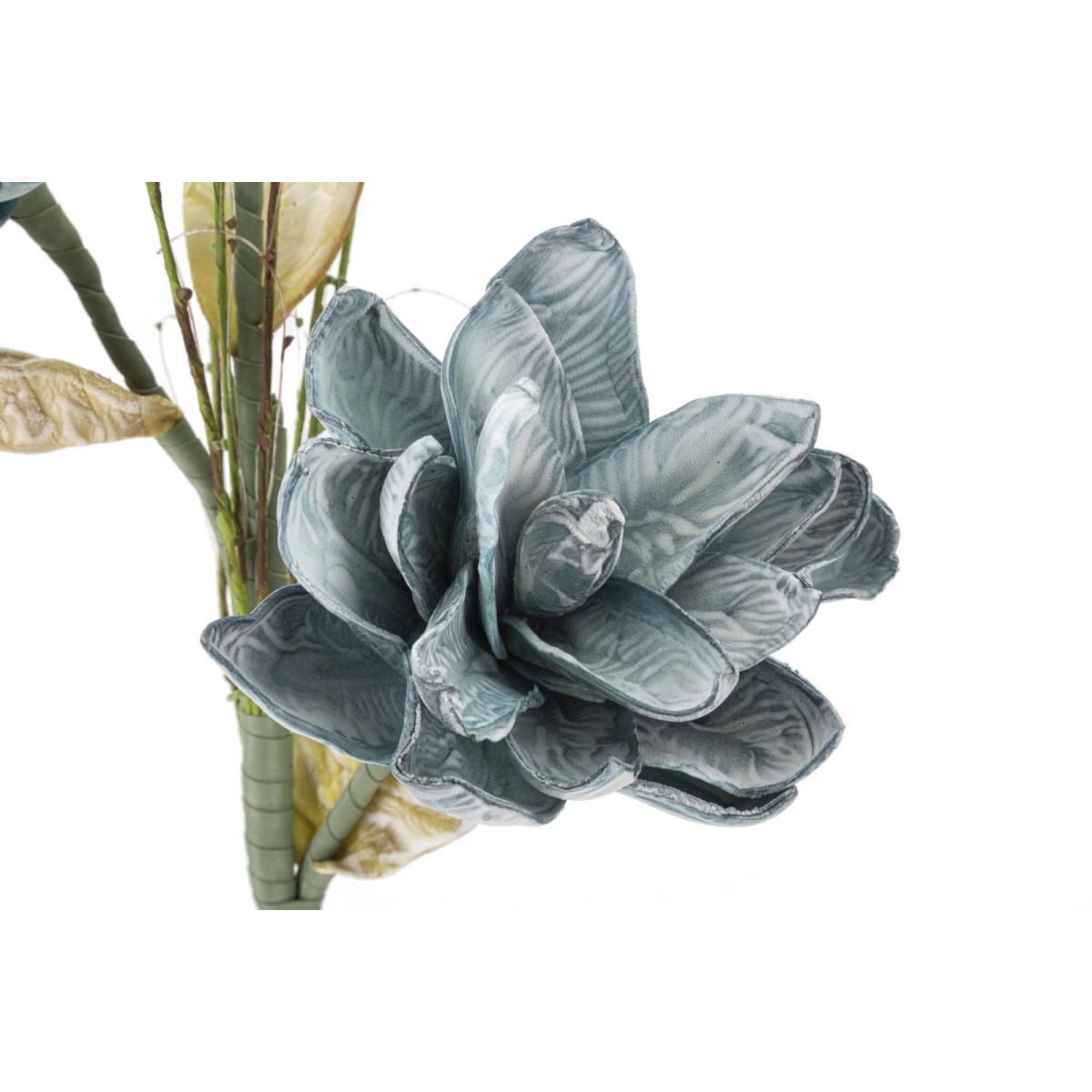 Magnolia x3 blu cm Ø 30x90 min 10
