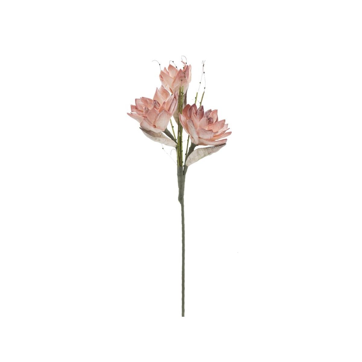 Magnolia x3 arancio cm Ø 30x90 min 10