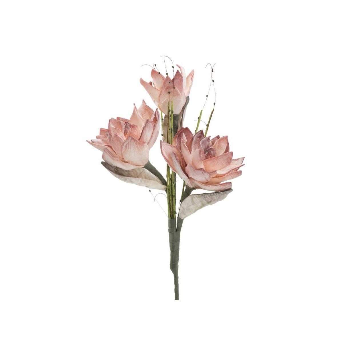 Magnolia x3 arancio cm Ø 30x90 min 10