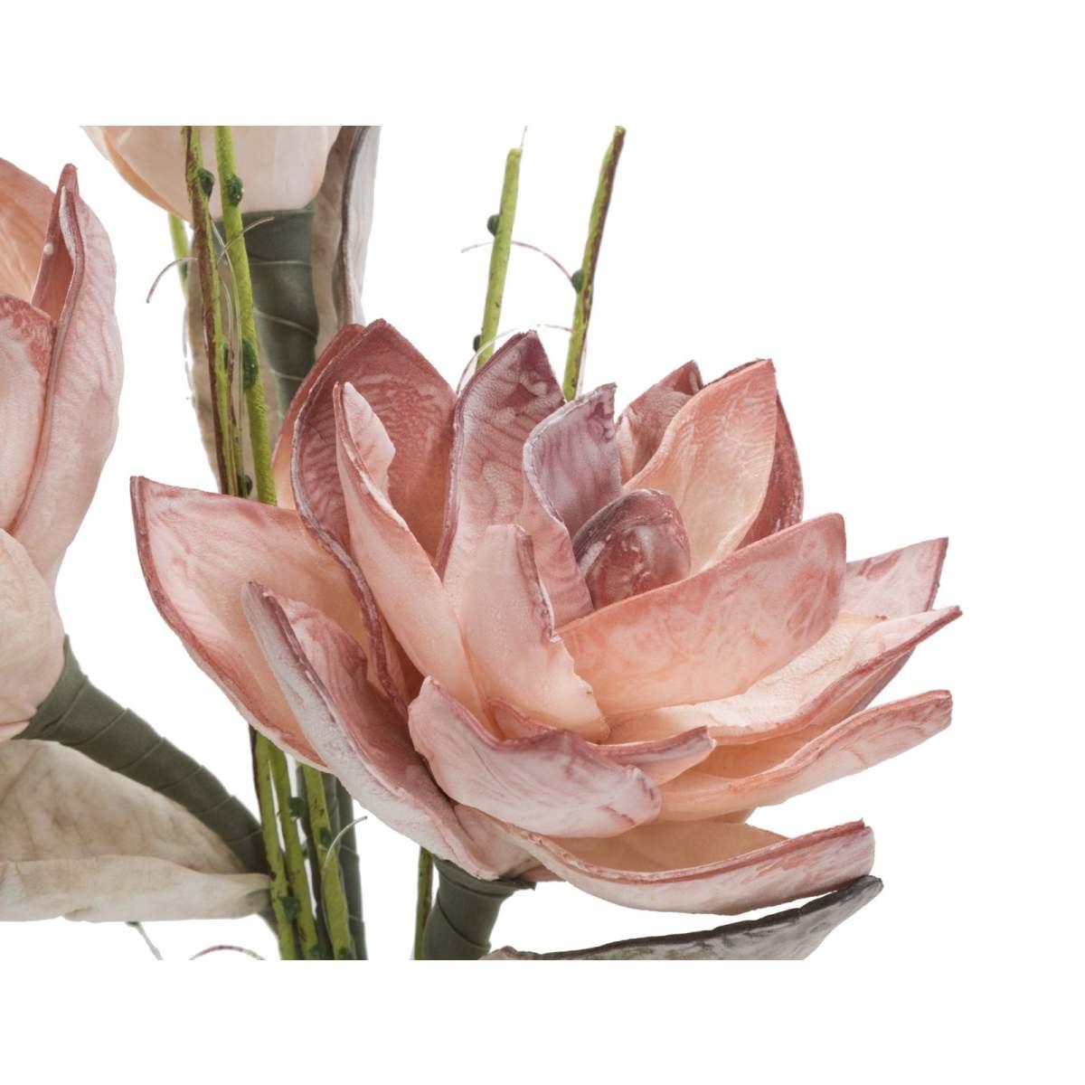 Magnolia x3 arancio cm Ø 30x90 min 10