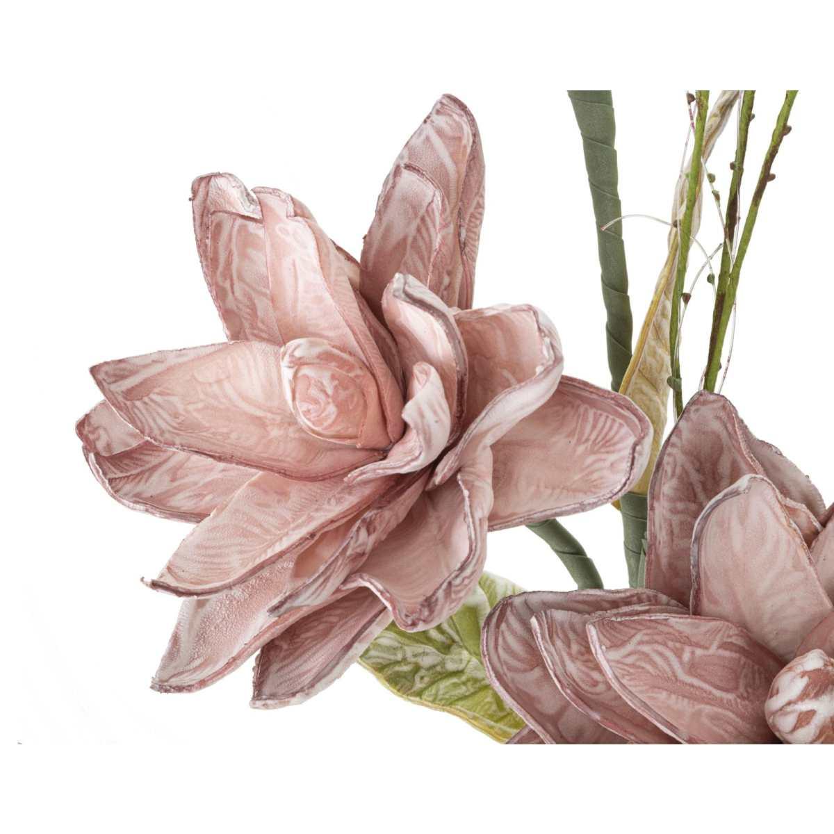 Magnolia x3 rosa cm Ø 30x90  min 10