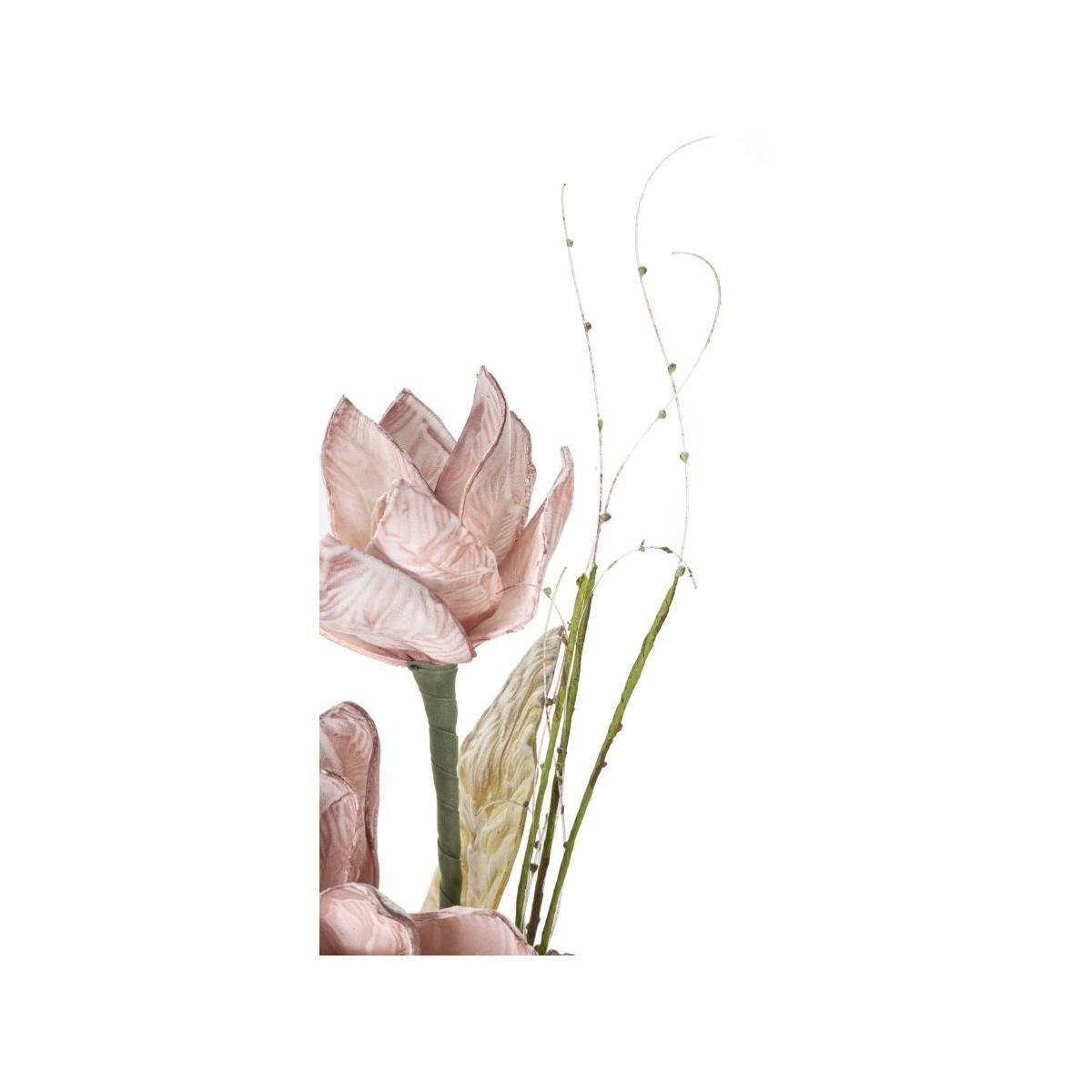 Magnolia x3 rosa cm Ø 30x90  min 10