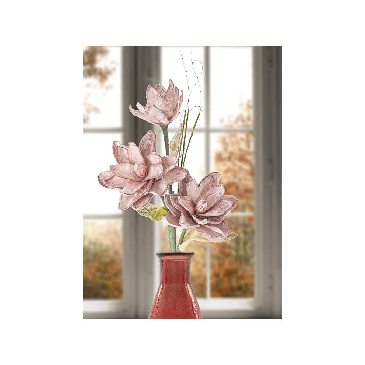 Magnolia x3 rosa cm Ø 30x90  min 10