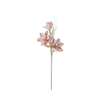 Magnolia x3 rosa cm Ø 30x90  min 10