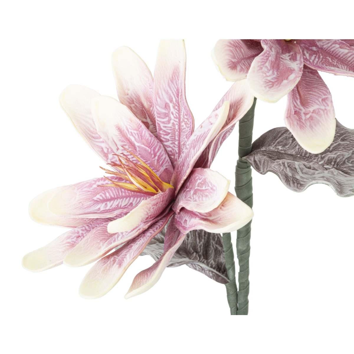 Magnolia x2 purple cm Ø 25x98 min 12