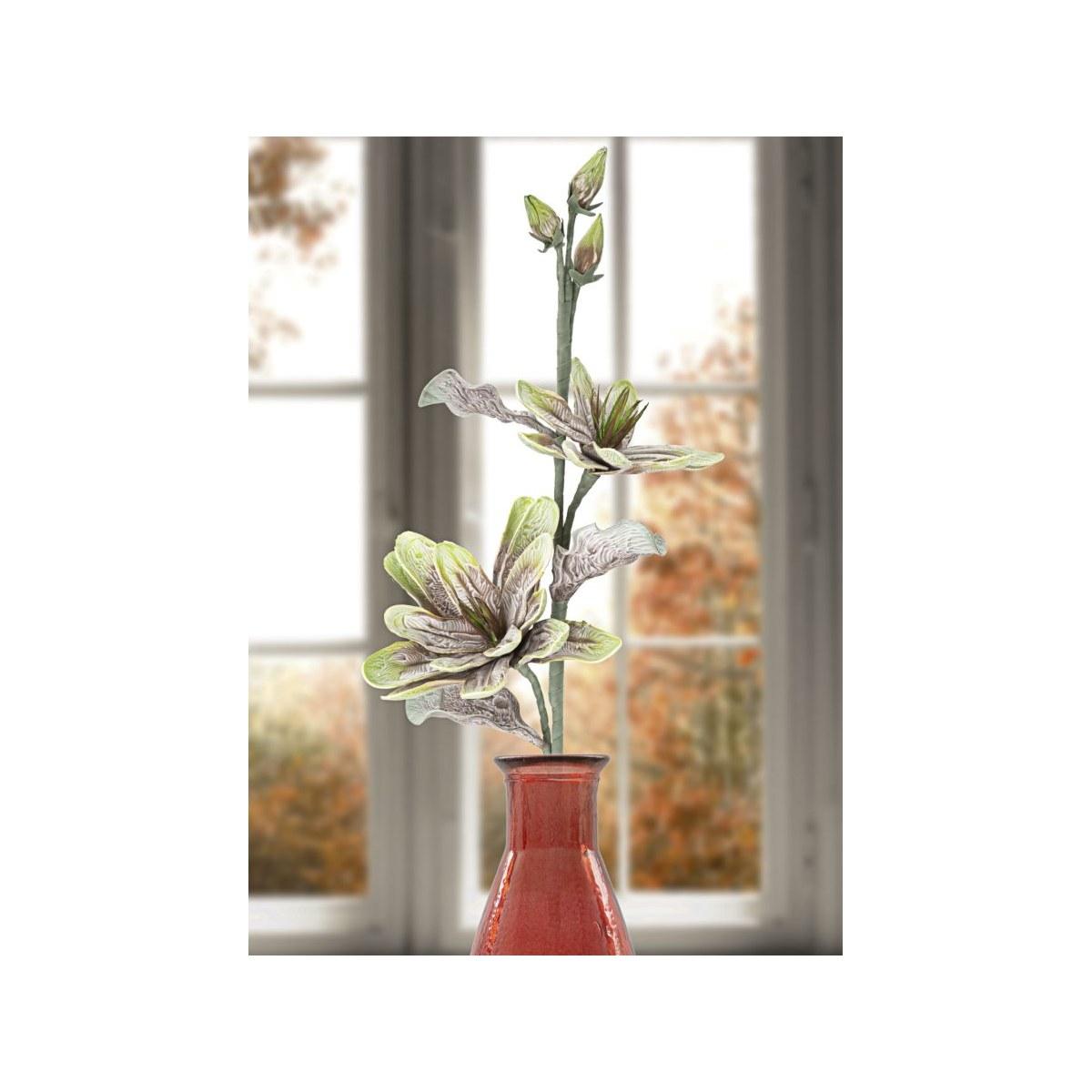 Magnolia x2 verde cm Ø 25x98 min 12