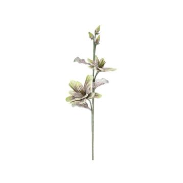 Magnolia x2 verde cm Ø 25x98 min 12
