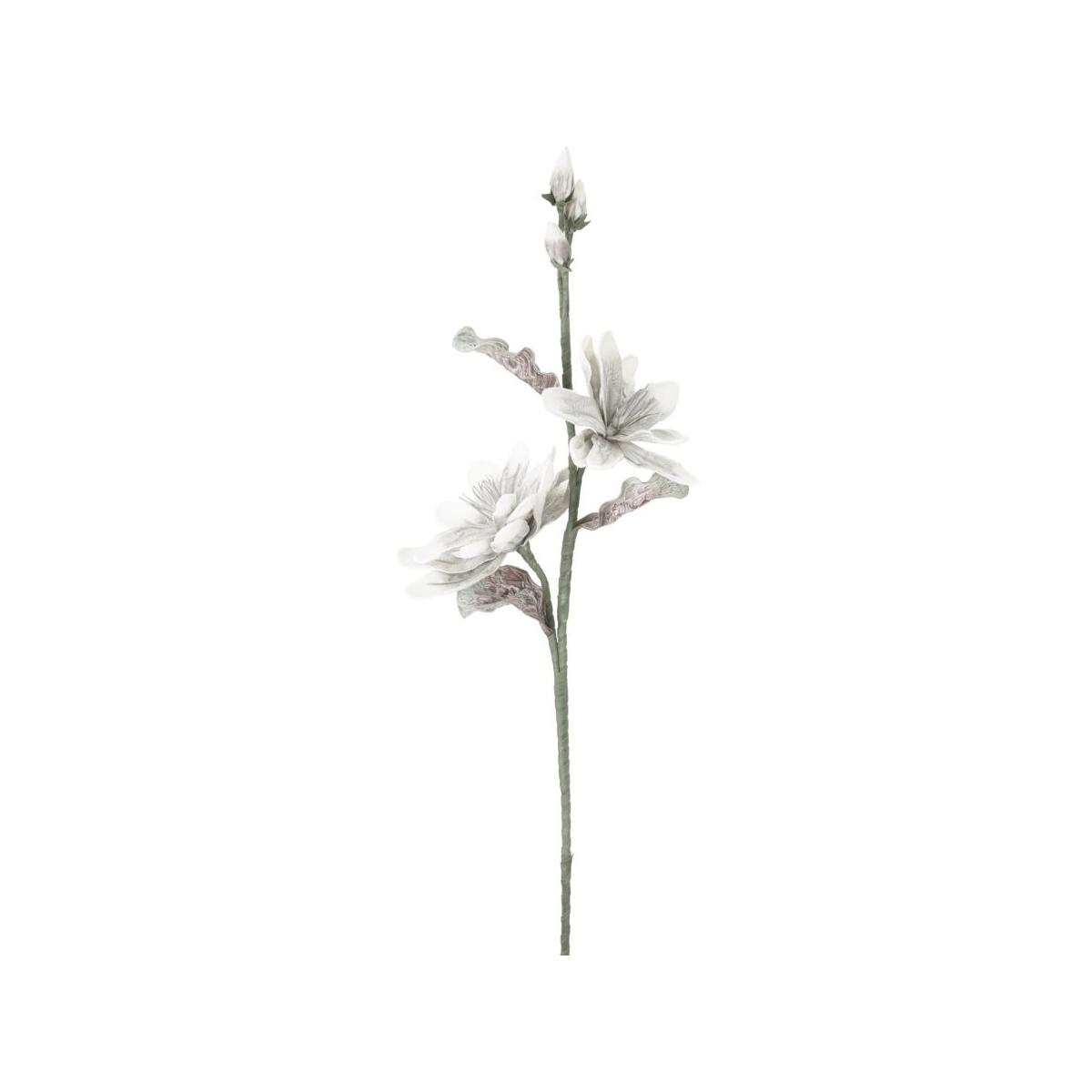 Magnolia x2 grigia cm Ø 25x98 min 12