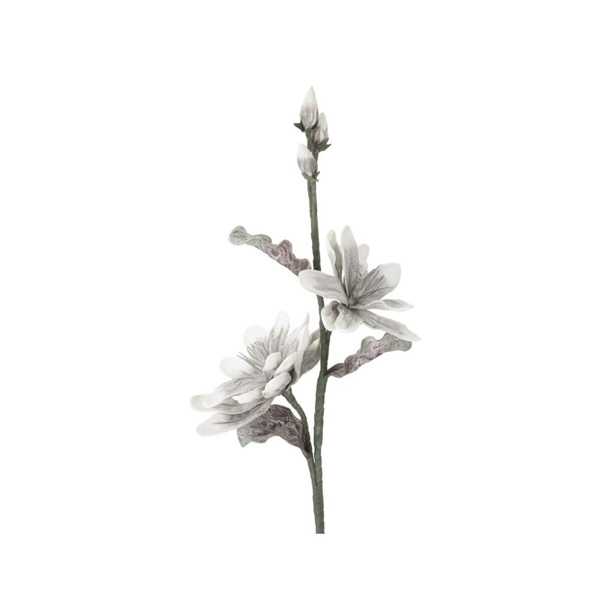 Magnolia x2 grigia cm Ø 25x98 min 12