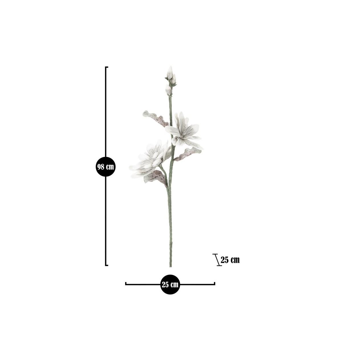 Magnolia x2 grigia cm Ø 25x98 min 12