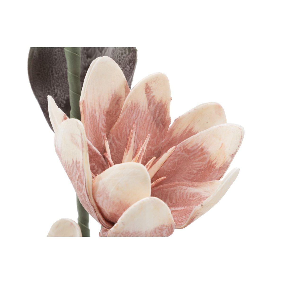 Magnolia x2 arancione cm Ø 25x98 min 12