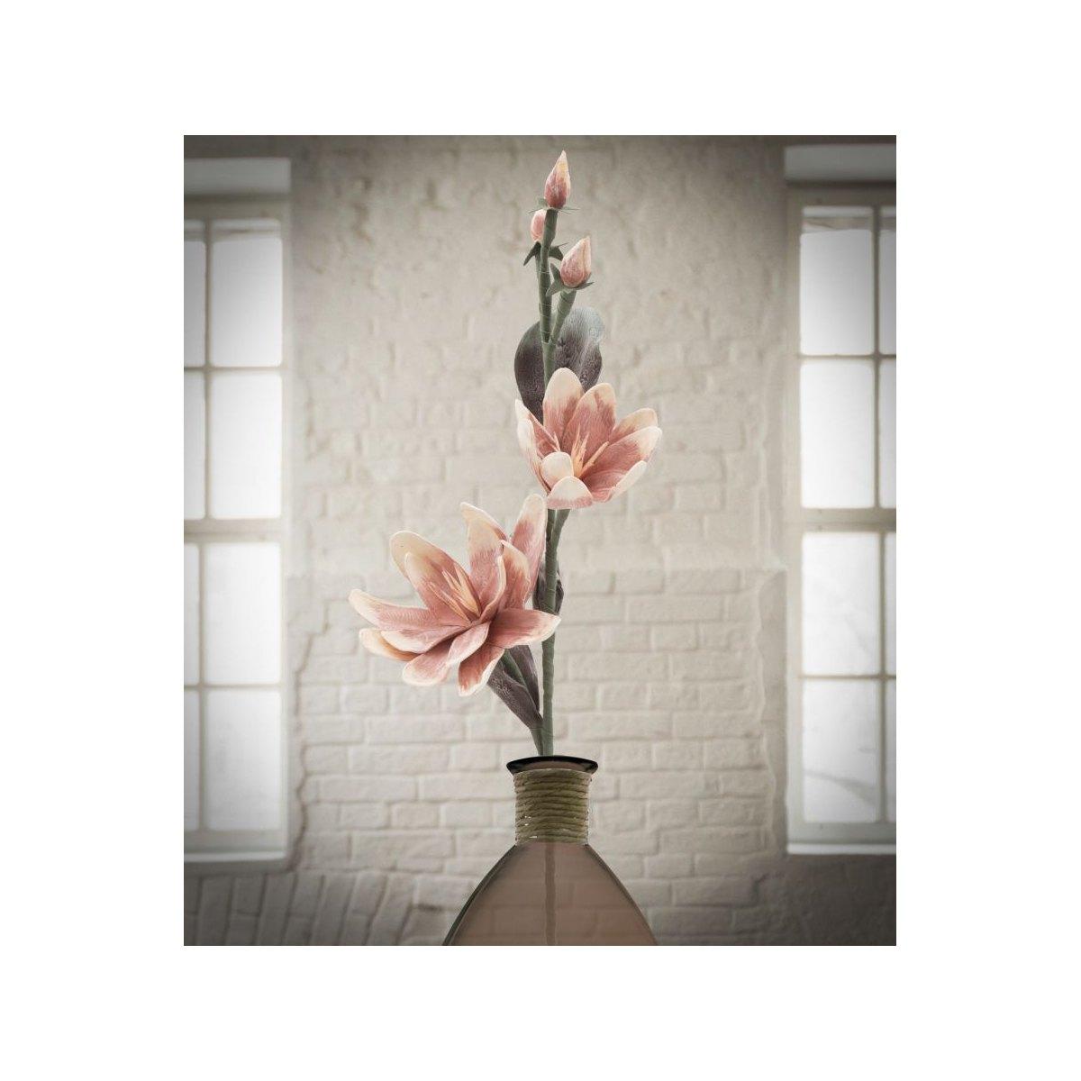Magnolia x2 arancione cm Ø 25x98 min 12