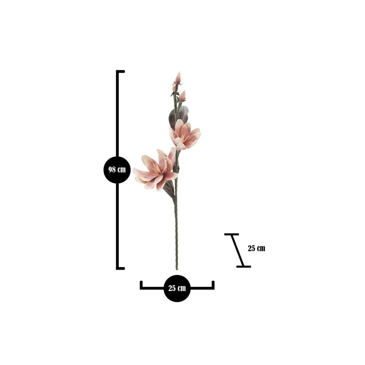 Magnolia x2 arancione cm Ø 25x98 min 12