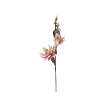 Magnolia x2 arancione cm Ø 25x98 min 12