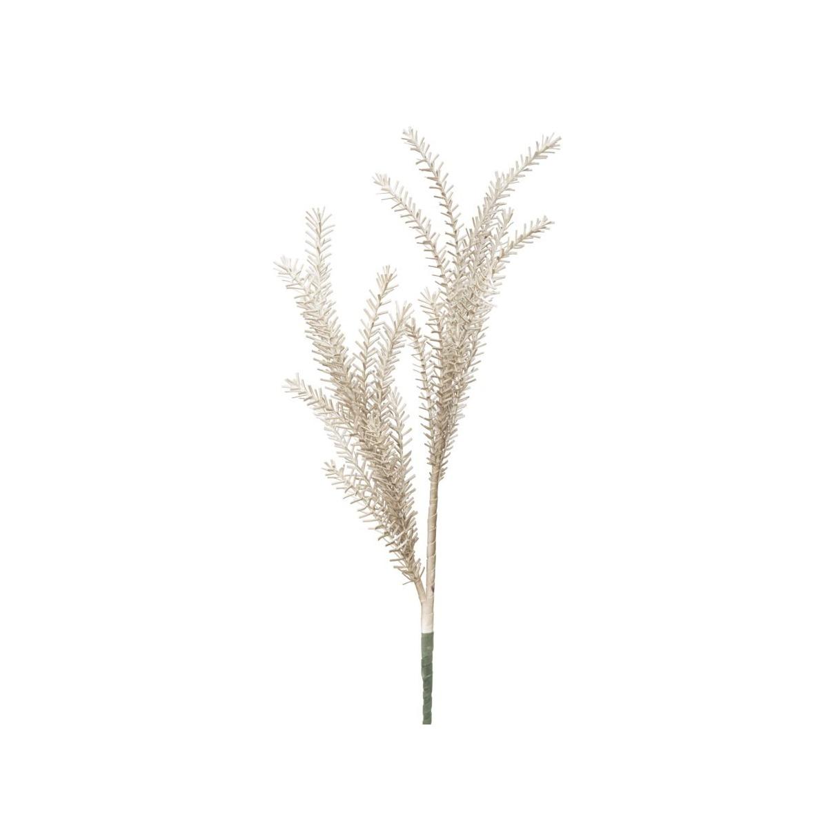 Bulrush marrone cm Ø 35x93 min 18