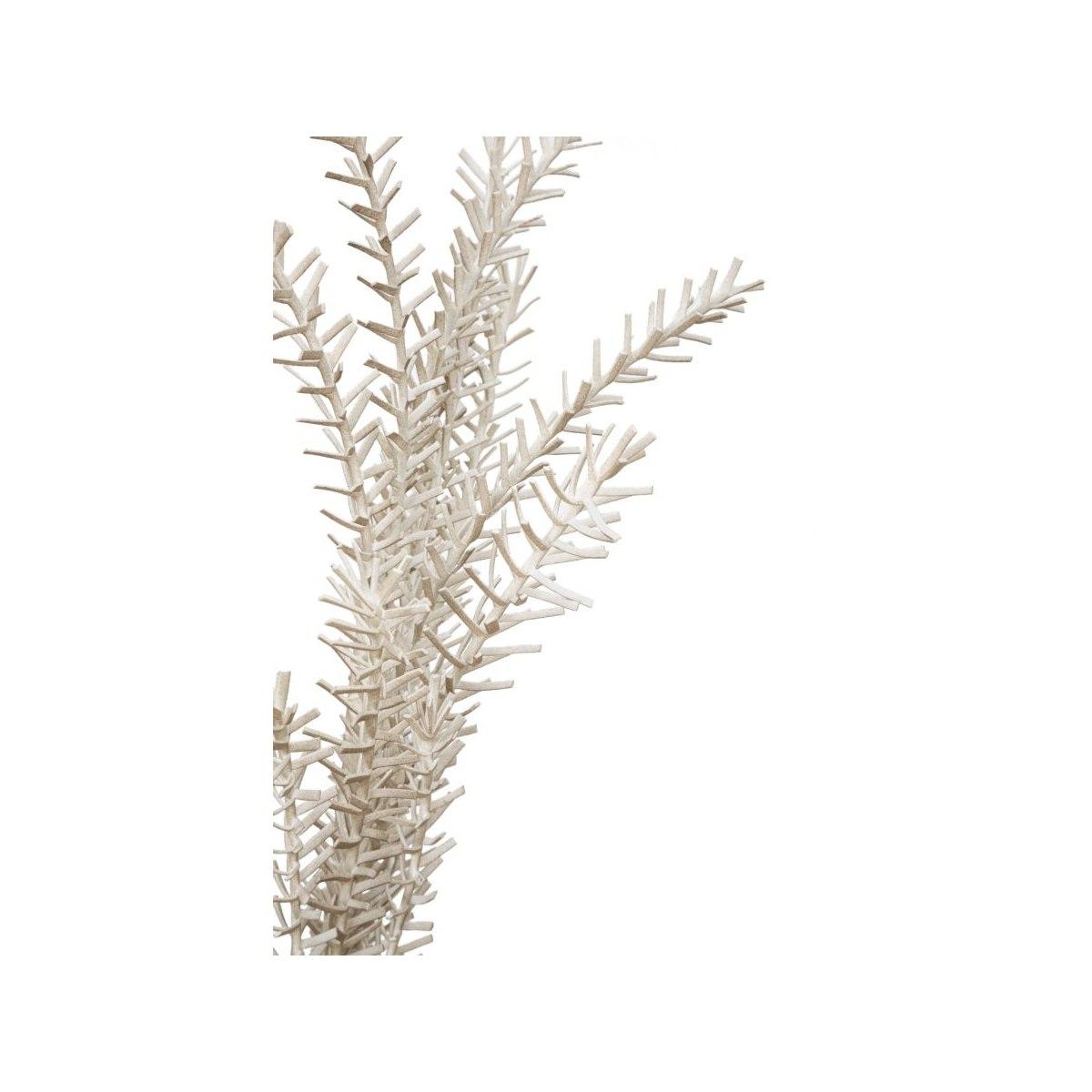 Bulrush marrone cm Ø 35x93 min 18