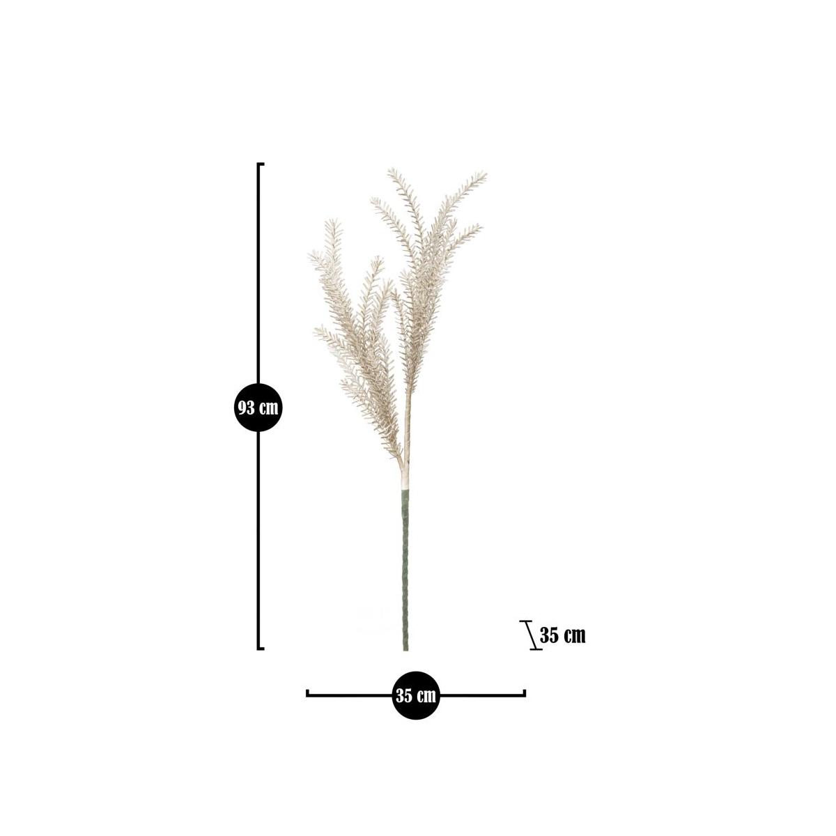 Bulrush marrone cm Ø 35x93 min 18