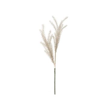 Bulrush marrone cm Ø 35x93 min 18