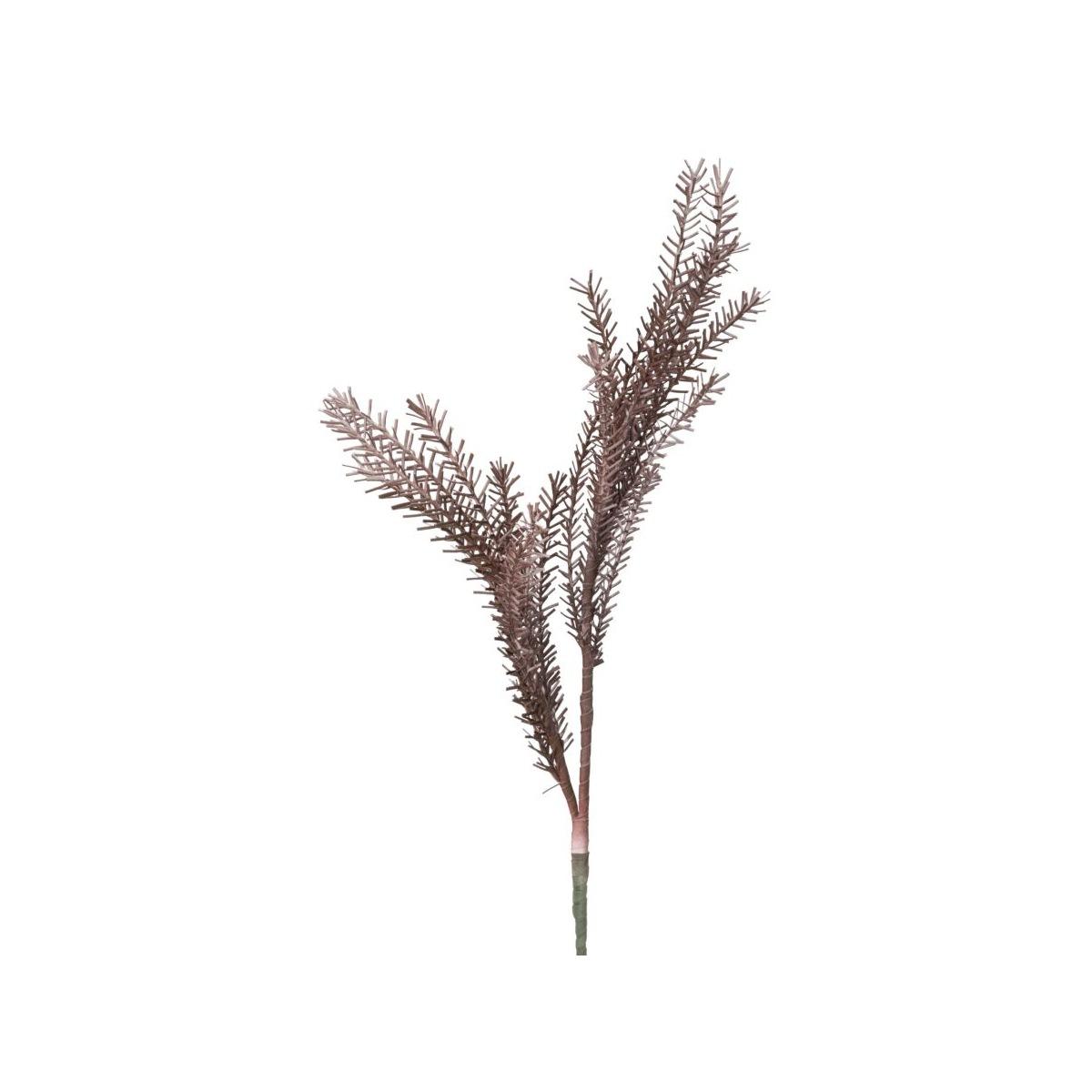 Bulrush rosso cm Ø 35x93 min 18