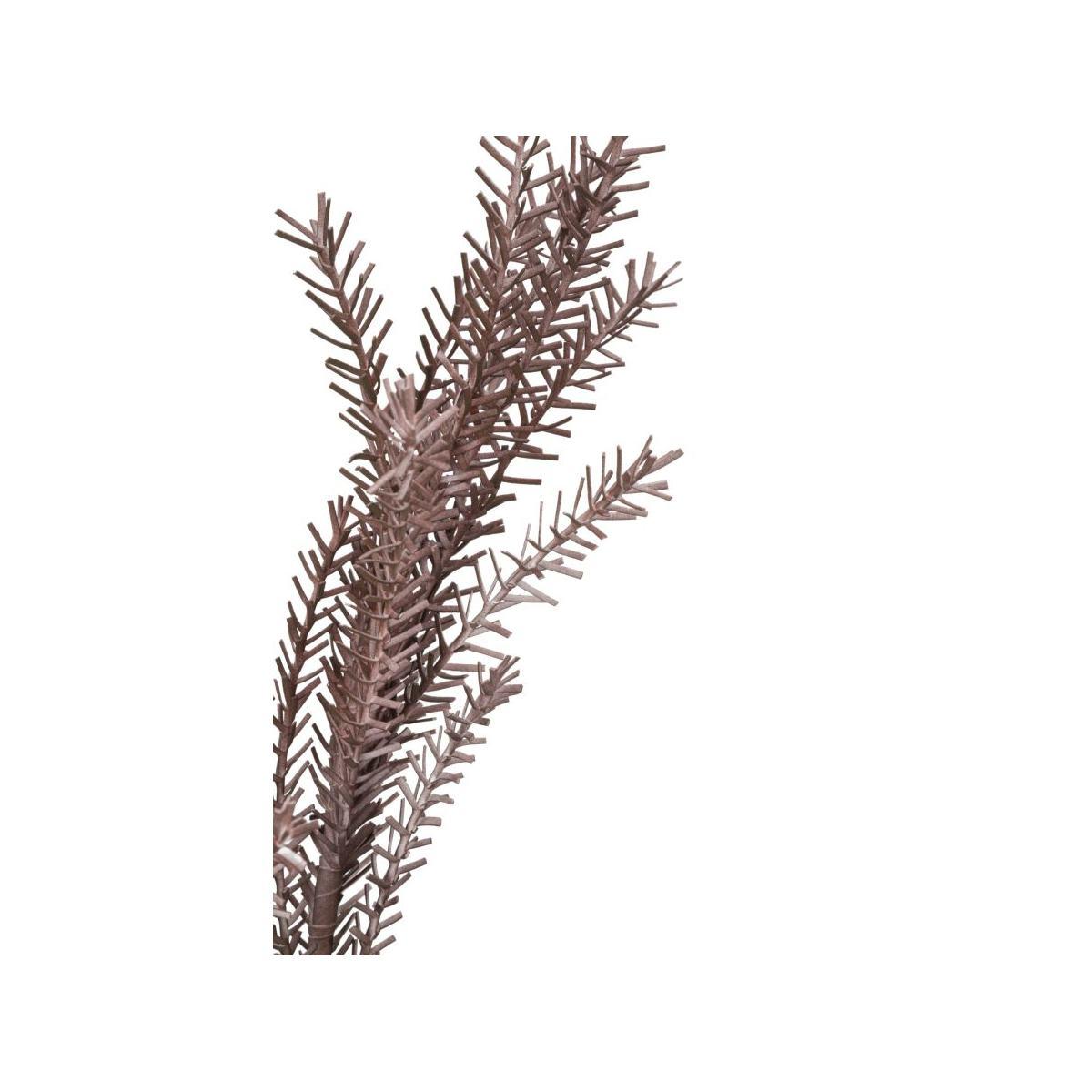 Bulrush rosso cm Ø 35x93 min 18