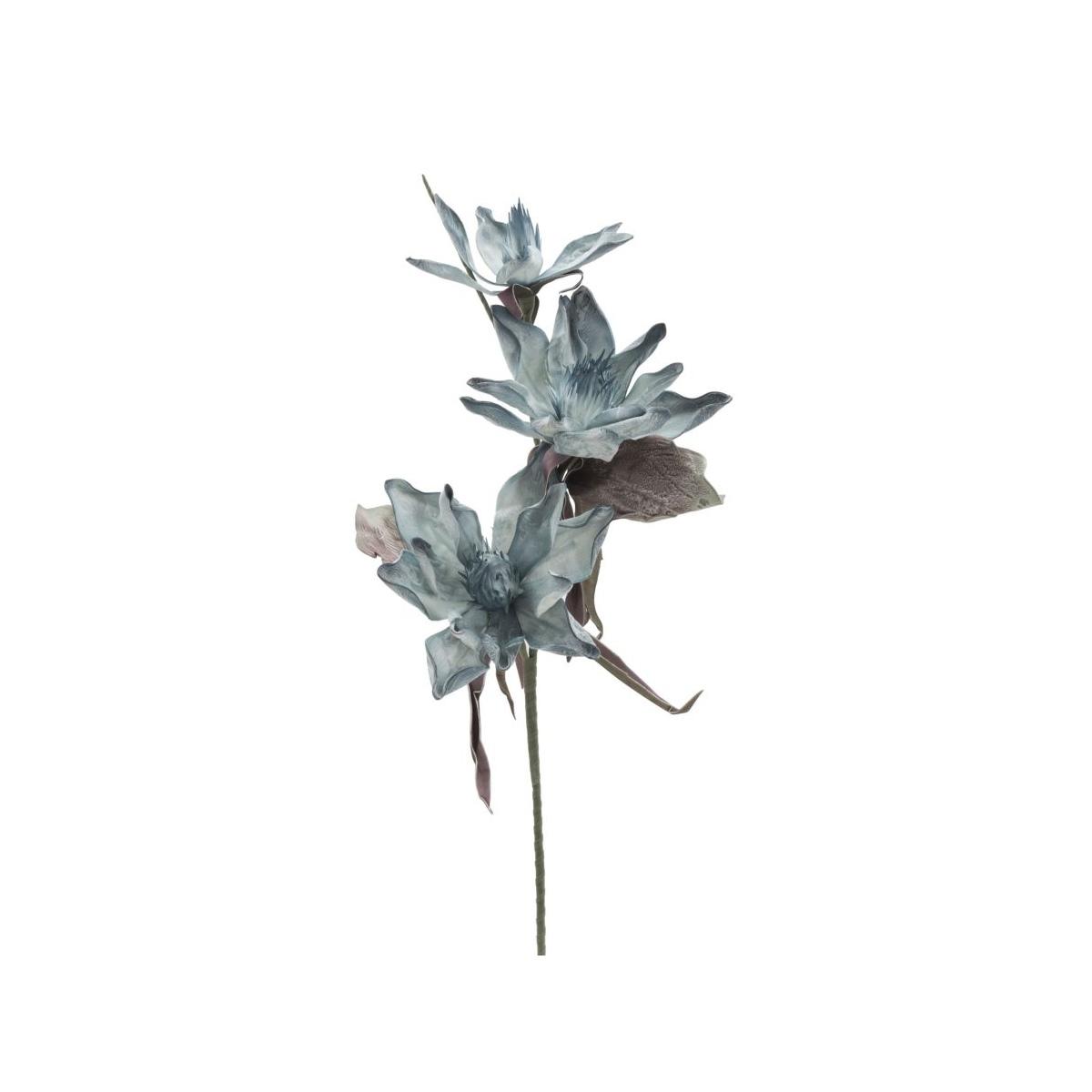 Epiphy hum x3 blu cm Ø 35x98 min 8