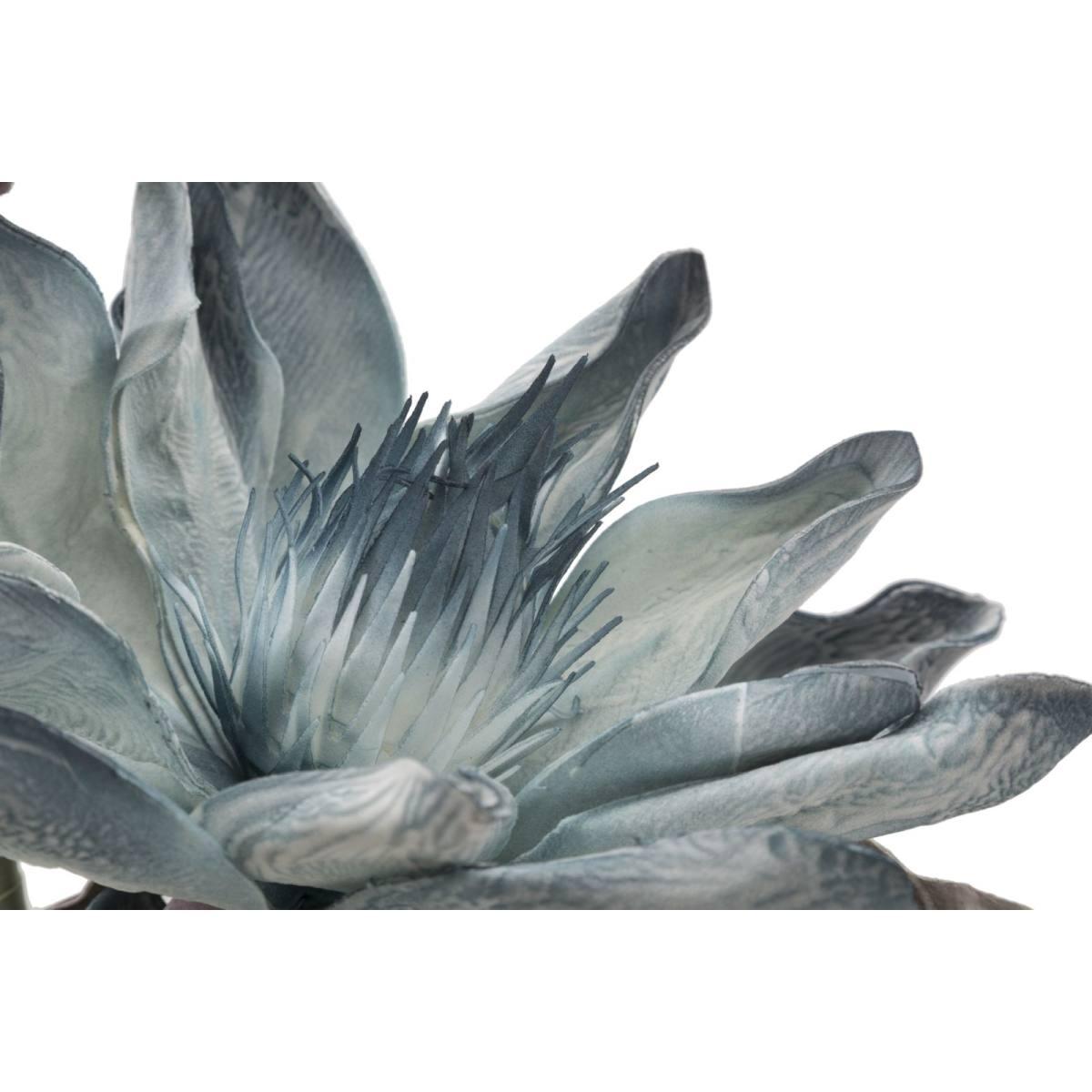 Epiphy hum x3 blu cm Ø 35x98 min 8