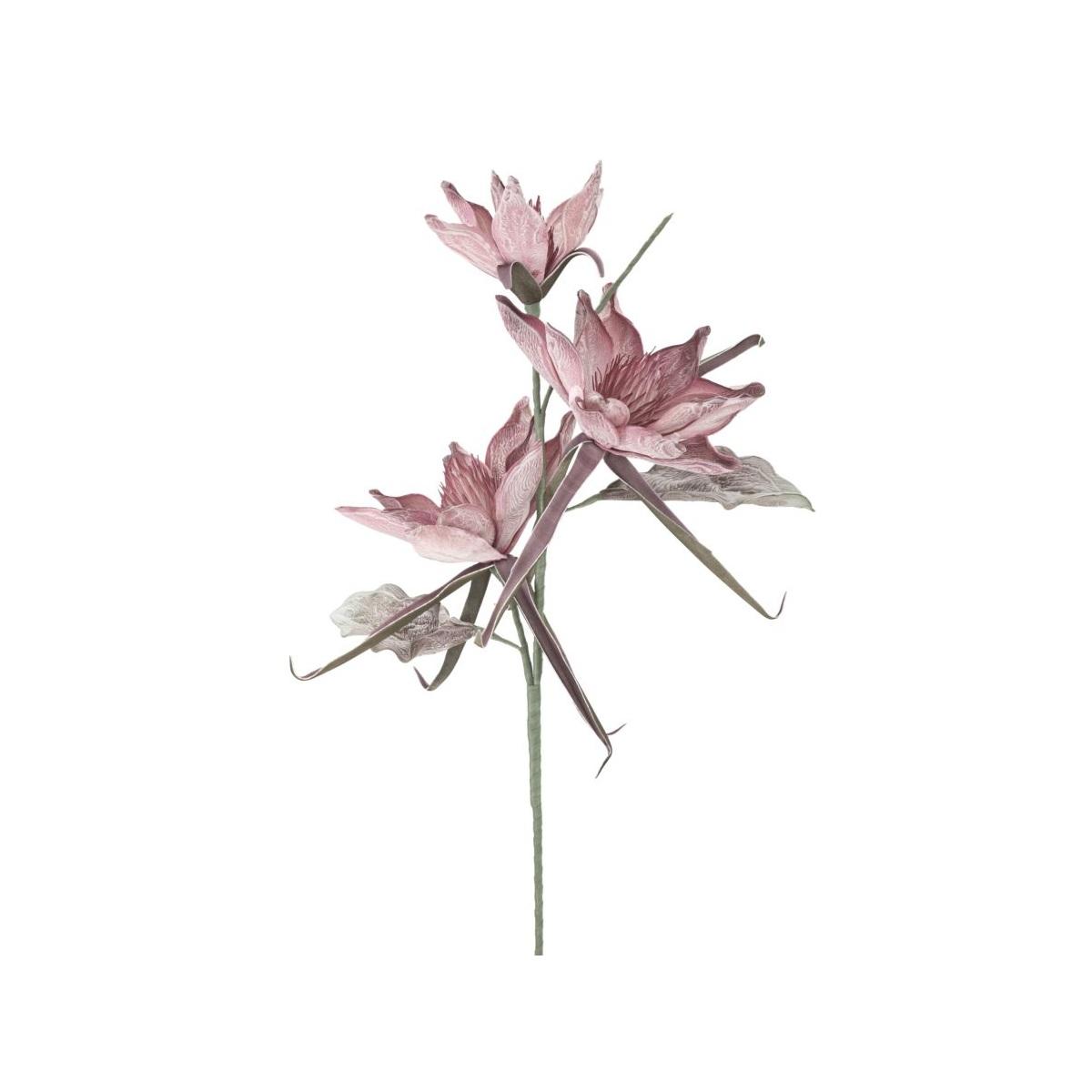 Epiphy hum x3 rosa cm Ø 35x98 min 8