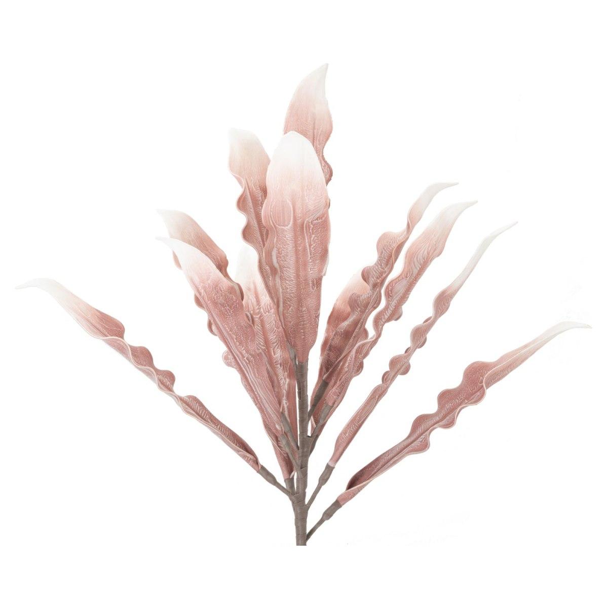 Aloe rosa cm Ø 30x98 min 10