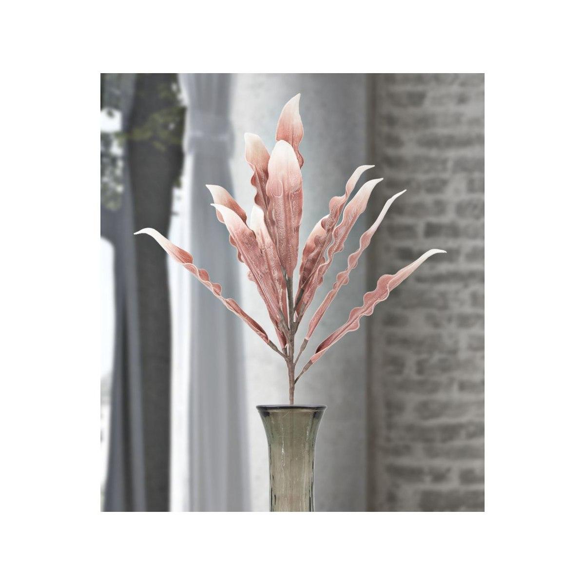 Aloe rosa cm Ø 30x98 min 10