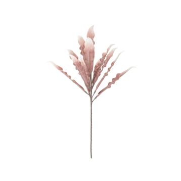 Aloe rosa cm Ø 30x98 min 10