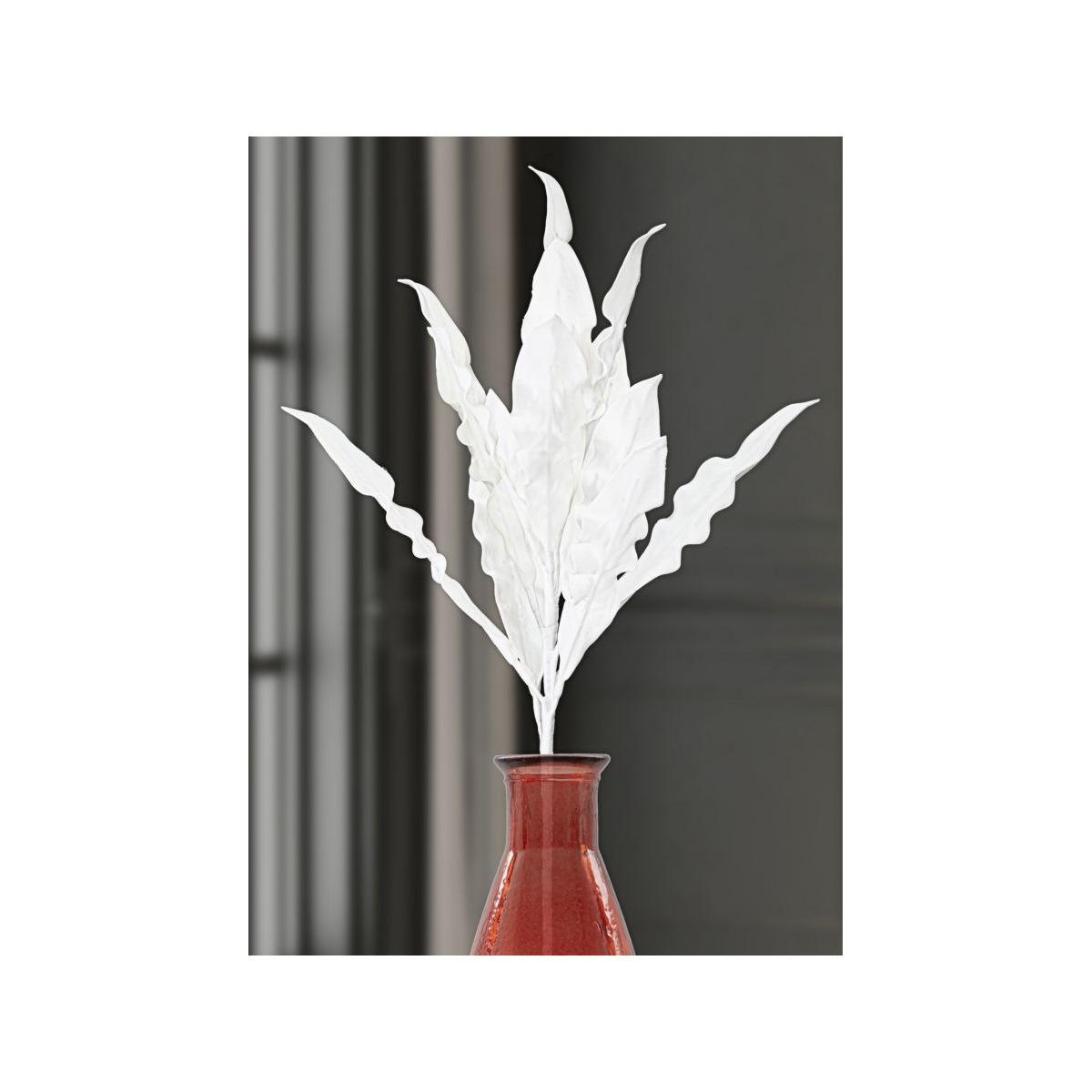 Aloe bianco cm Ø 30x98 min 10